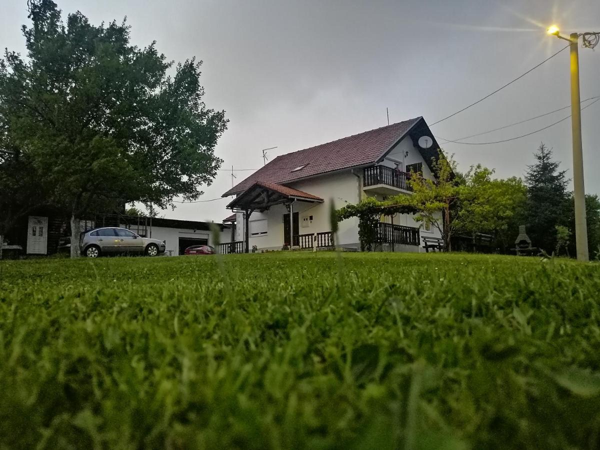 House Viktoria Hotell Selište Drežničko Eksteriør bilde