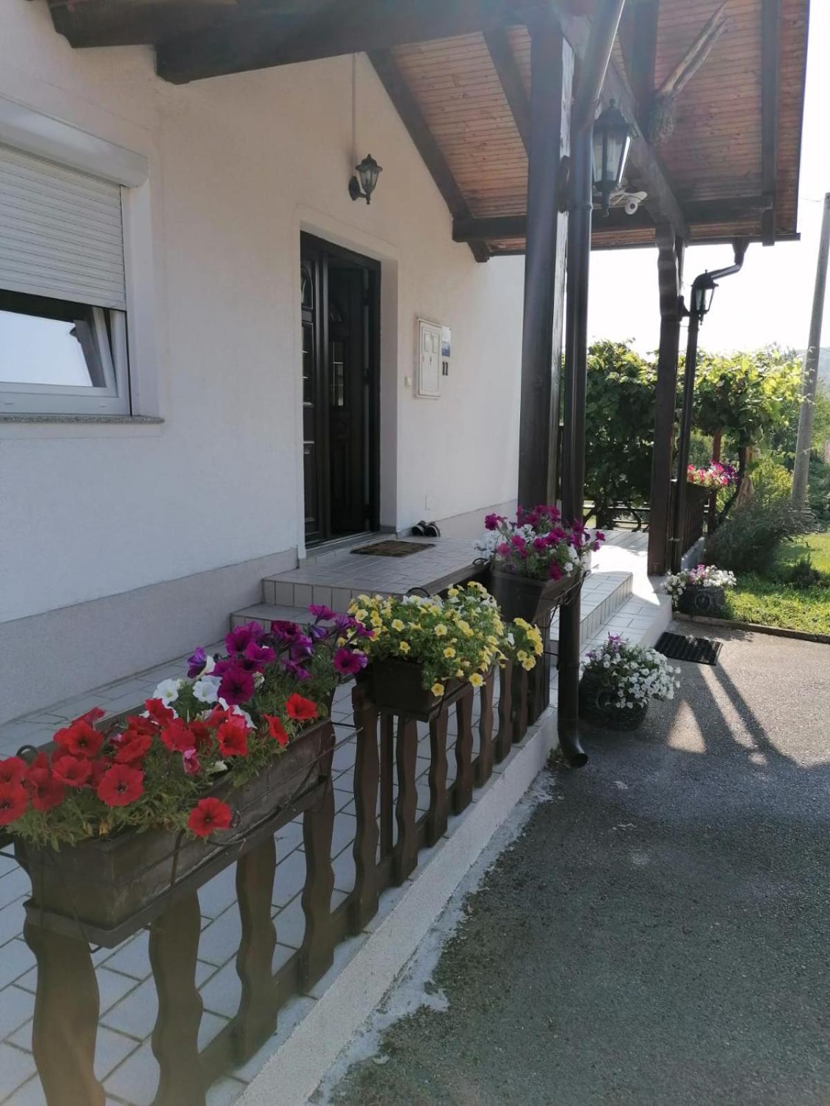 House Viktoria Hotell Selište Drežničko Eksteriør bilde