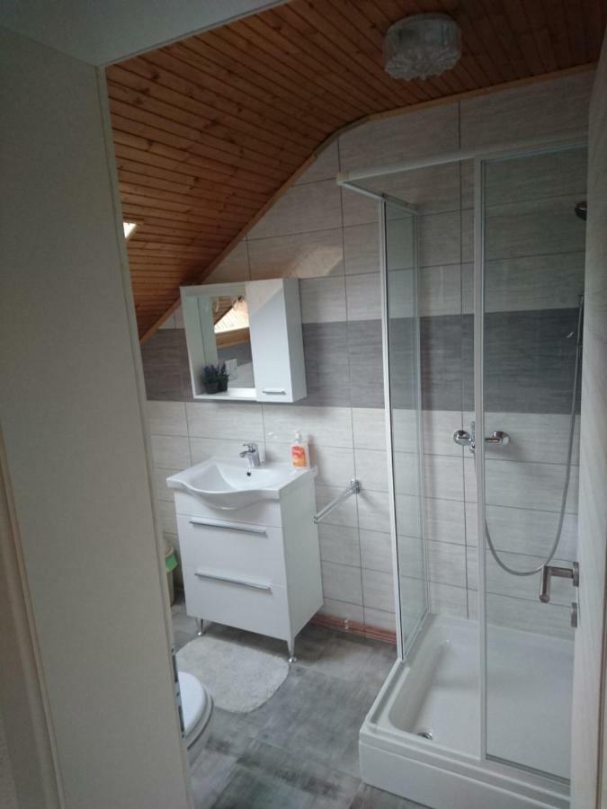 House Viktoria Hotell Selište Drežničko Eksteriør bilde