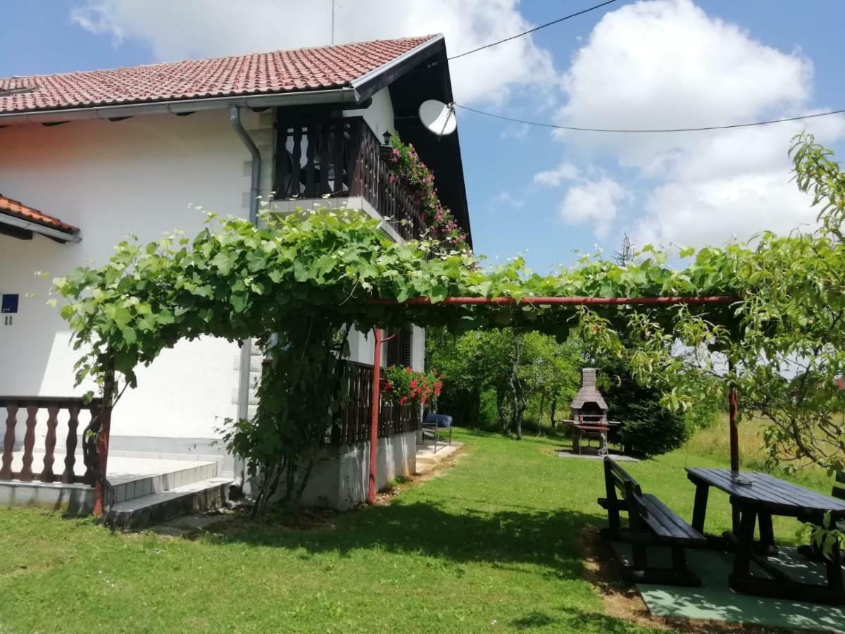 House Viktoria Hotell Selište Drežničko Eksteriør bilde