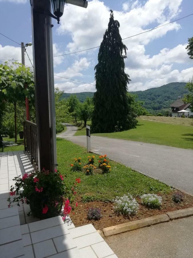 House Viktoria Hotell Selište Drežničko Eksteriør bilde