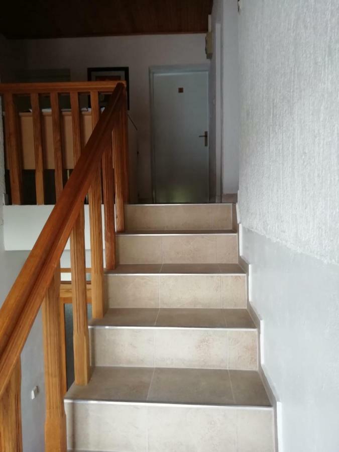 House Viktoria Hotell Selište Drežničko Eksteriør bilde